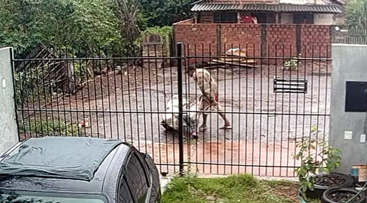 Homem confirma ter carregado mulher desacordada dentro de saco de cal no Paraná, mas nega agressões: 'Deixei ela lá mesmo'
