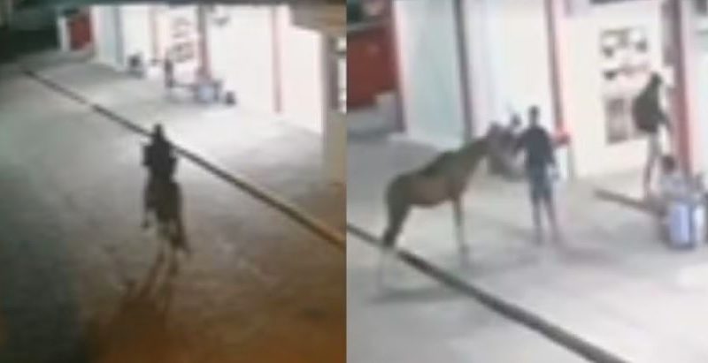 Homem usa cavalo para assaltar lanchonete de rodoviária na Bahia
