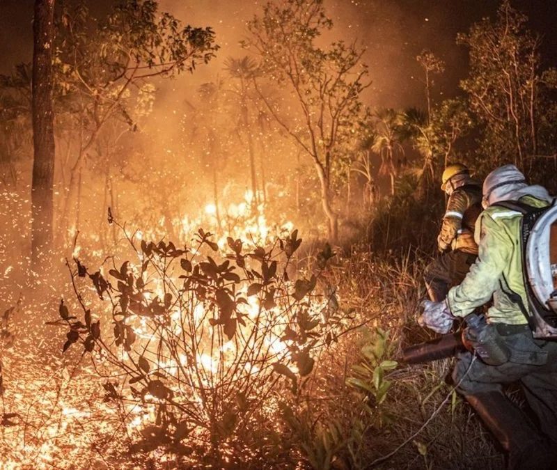 Ibama extingue 229 incêndios no Amazonas e segue no combate ao fogo