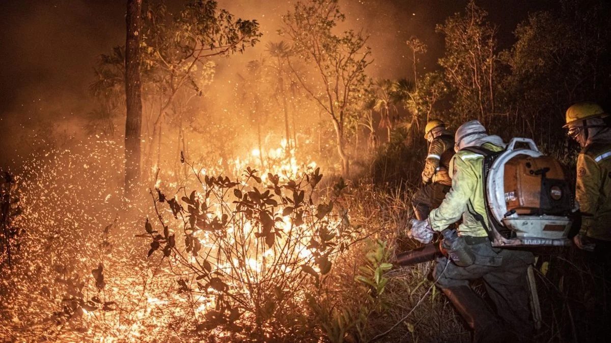 Ibama extingue 229 incêndios no Amazonas e segue no combate ao fogo