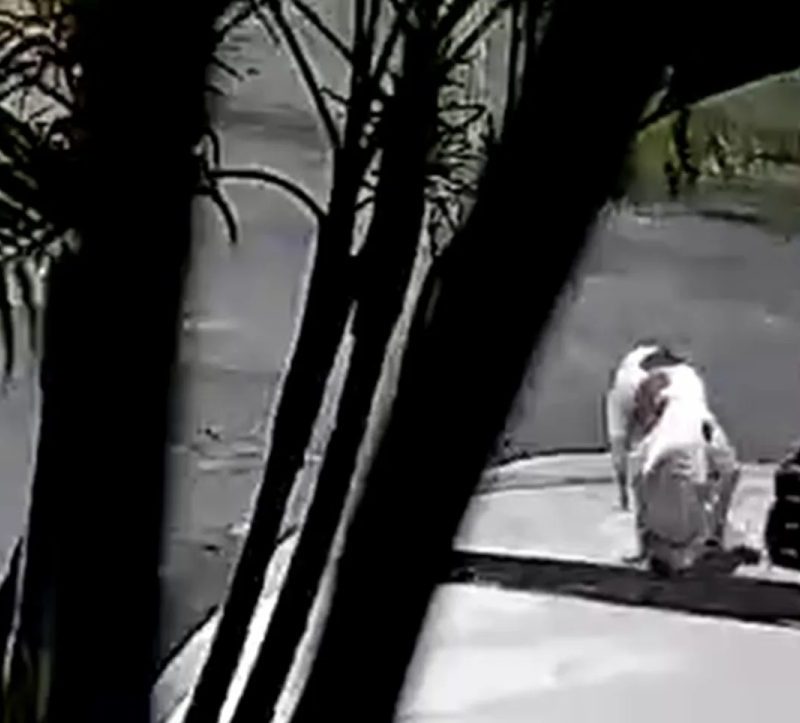 Idoso é agredido a pauladas após reclamar de fezes de cachorro em terreno na Bahia