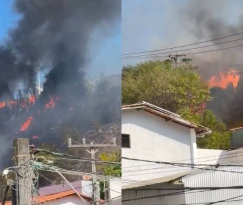 Incêndio de grandes proporções atinge área de mata no Imbuí e assusta moradores em Salvador