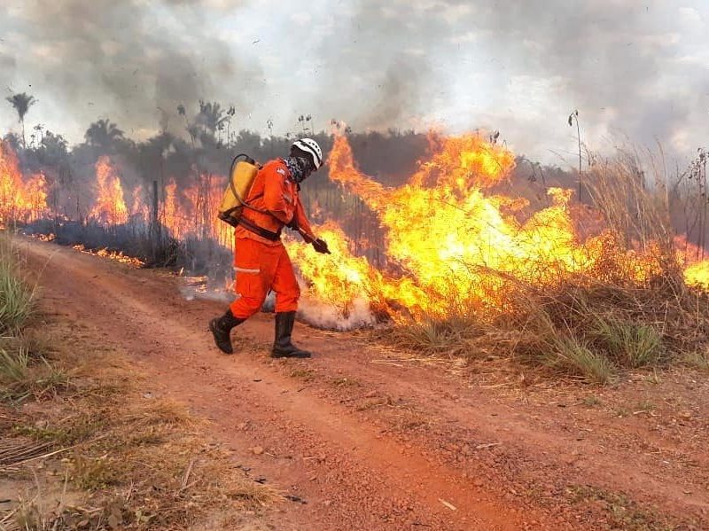 Incêndios em terrenos mobilizam bombeiros e preocupam moradores de São Luís