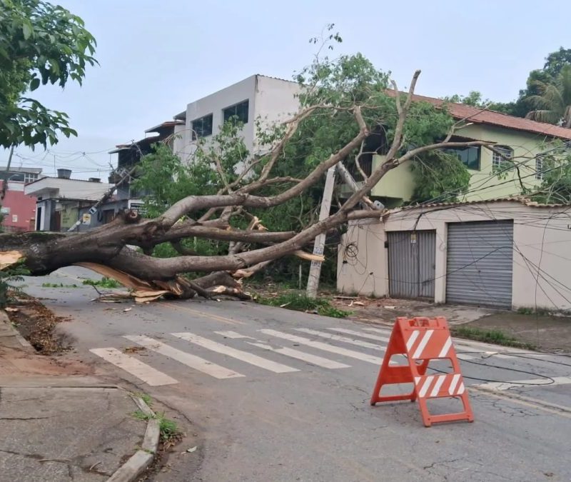 Mais de 230 mil imóveis continuam sem energia após temporal em Minas Gerais