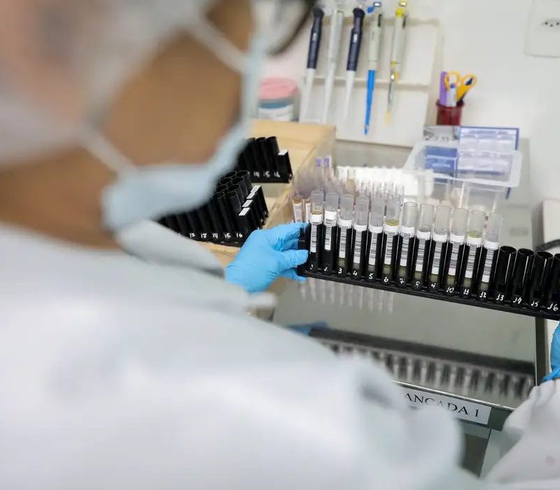 Malária: Anvisa autoriza teste em humanos de vacina 100% brasileira