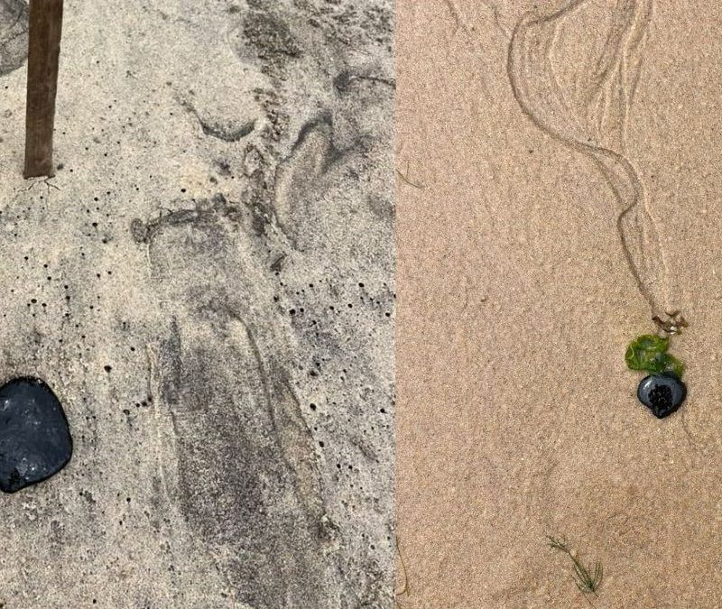 Manchas de óleo encontradas em praias do litoral norte de Maceió são compatíveis com petróleo, diz laudo