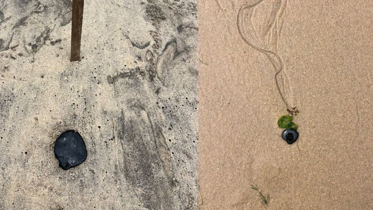 Manchas de óleo encontradas em praias do litoral norte de Maceió são compatíveis com petróleo, diz laudo