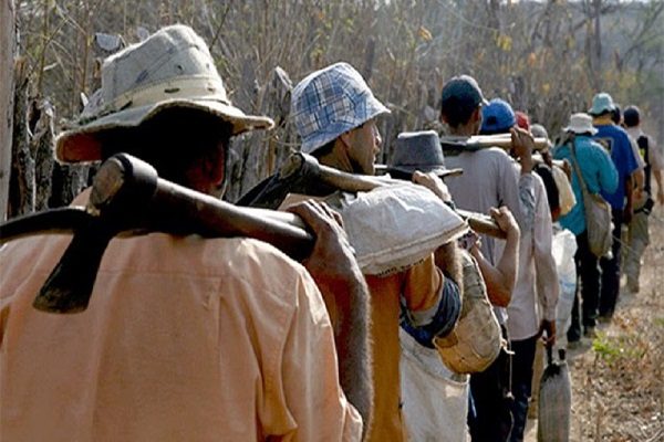 Maranhão entra na “lista suja” do trabalho escravo com seis novos infratores