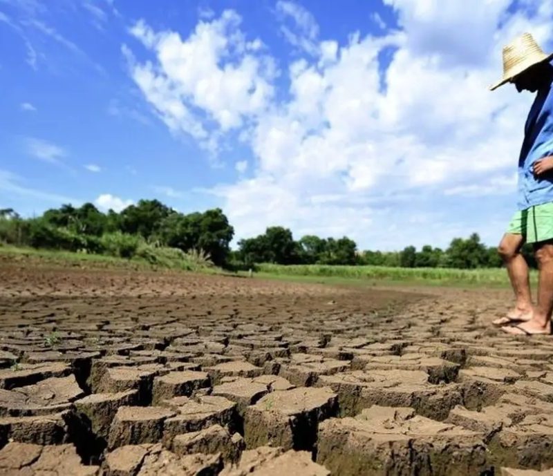 Maranhão tem 100% do território atingido pela seca e figura entre os estados mais castigados do Nordeste