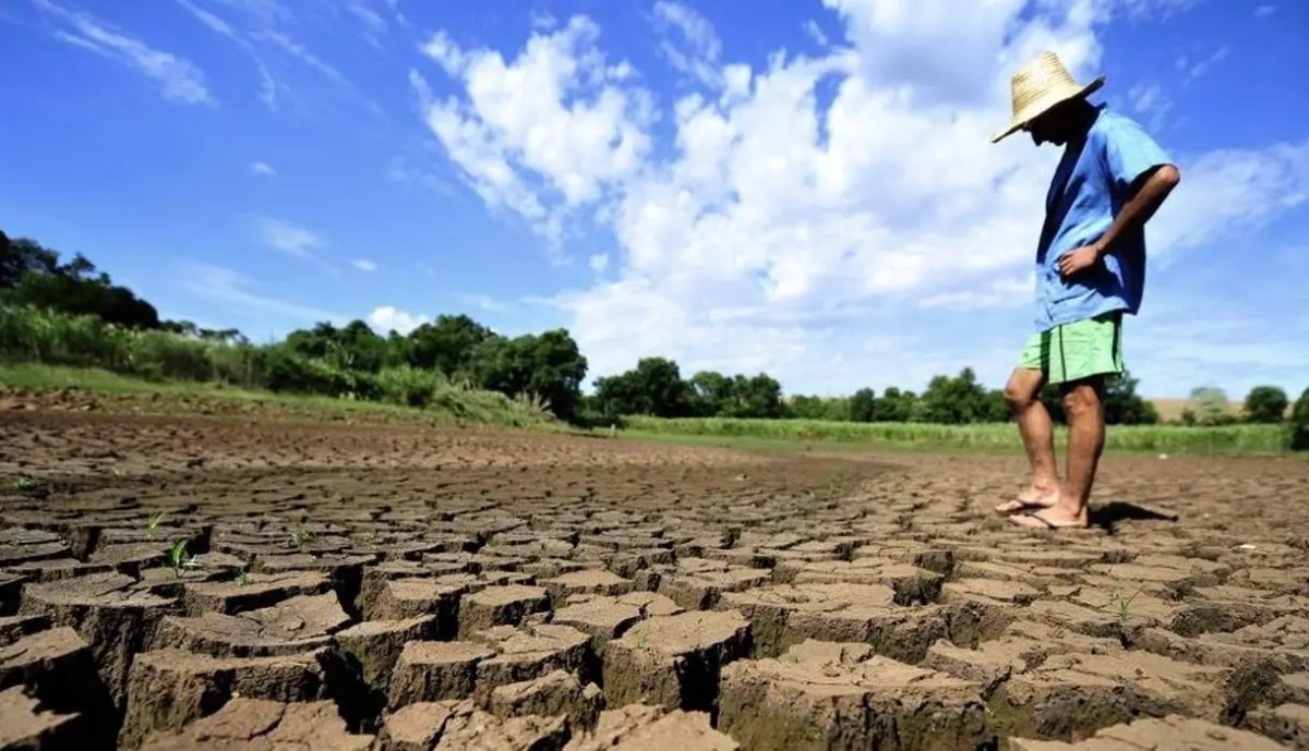 Maranhão tem 100% do território atingido pela seca e figura entre os estados mais castigados do Nordeste