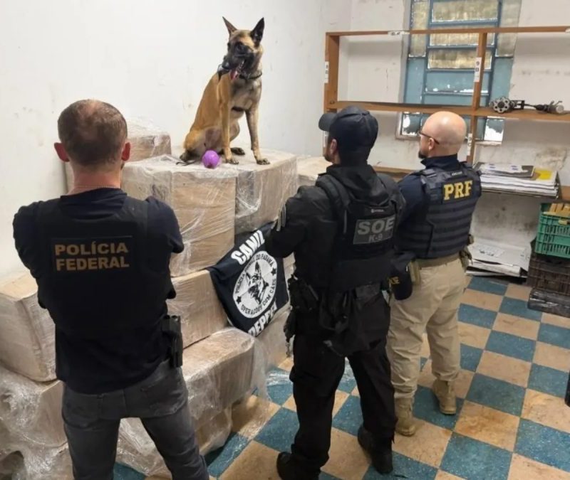 Motorista fica nervoso em abordagem e polícia descobre quase uma tonelada de maconha em caminhão, no Paraná