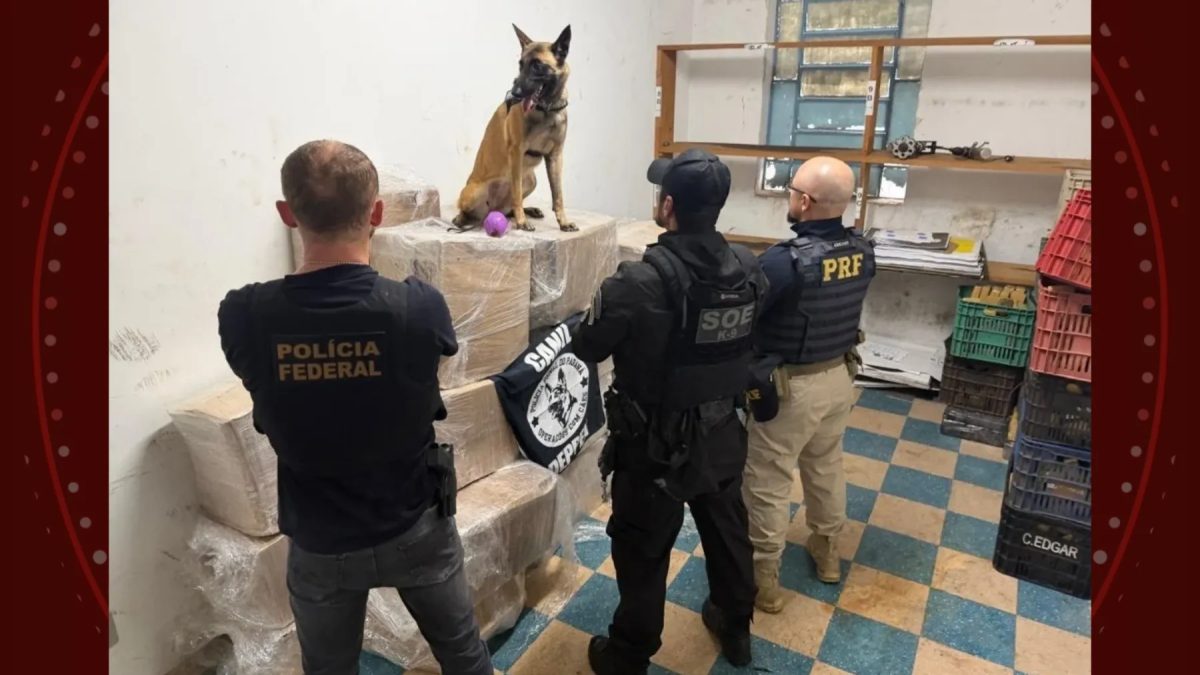 Motorista fica nervoso em abordagem e polícia descobre quase uma tonelada de maconha em caminhão, no Paraná
