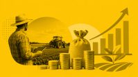 Mulheres enfrentam barreiras no agro; novo plano mira crédito e liderança