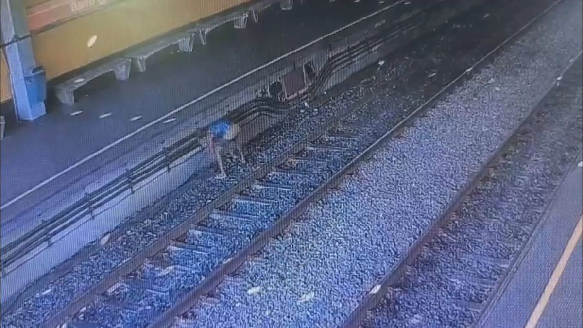 Número de furtos de cabos e casos de vandalismo cresce em menos de um ano e gera atrasos e interdições no Metrô do Recife, diz CBTU