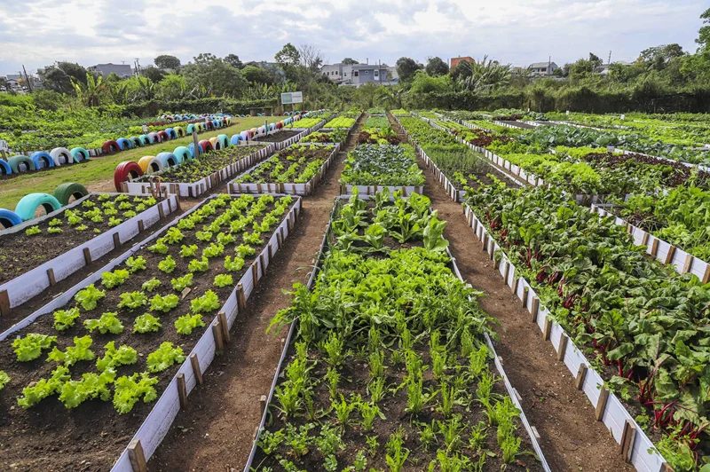 Outubro é o mês da alimentação: Curitiba vai ter programação especial com semanas temáticas