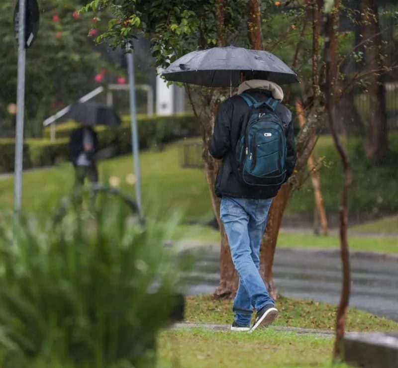 Paraná recebe alertas de tempestade com ventos que podem chegar a 60 km/h; veja cidades afetadas