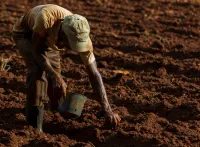 Pedidos de recuperação judicial no agro caem 20,7% no segundo trimestre