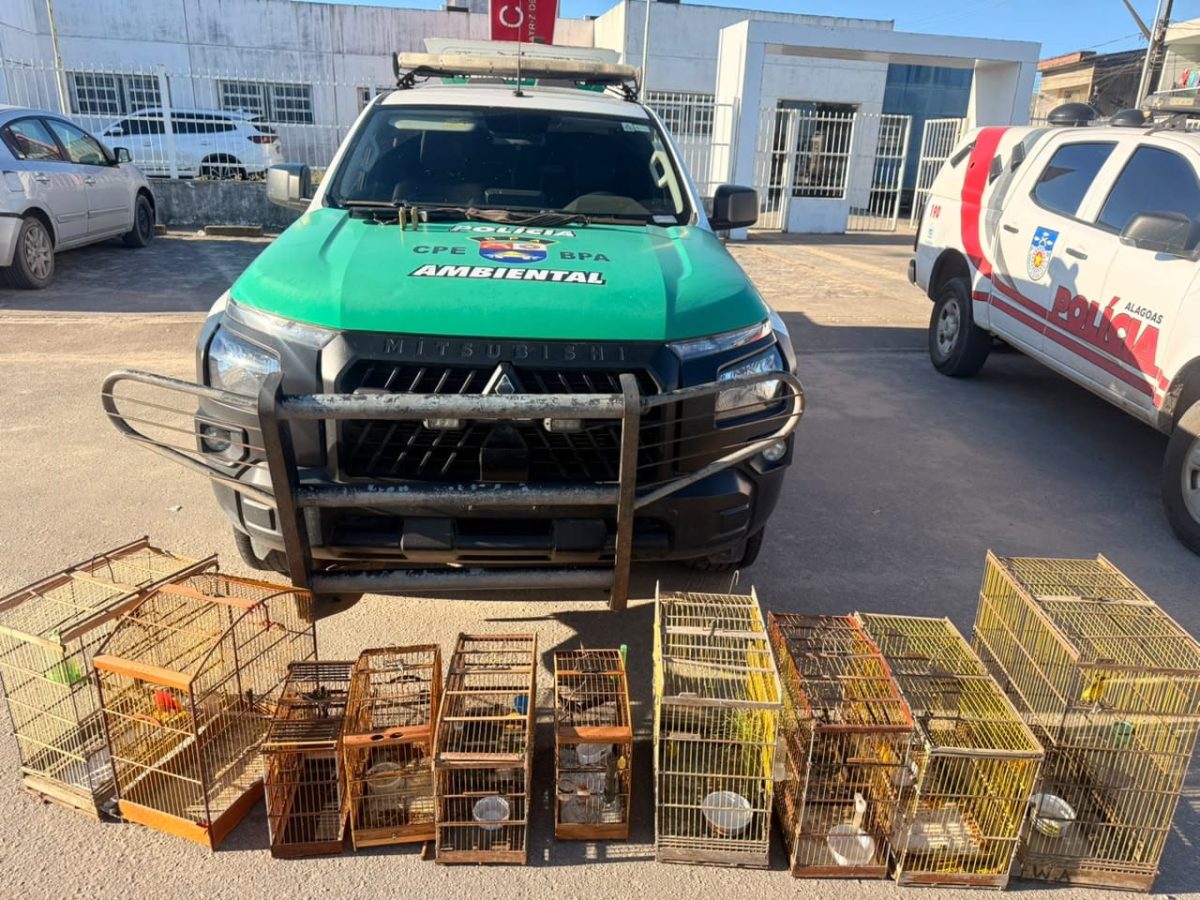 Polícia apreende centenas de animais silvestres durante operação em Alagoas