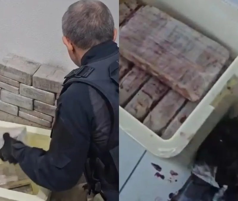 Polícia encontra 46 kg de cocaína escondidos em caixas de açaí no Ceará