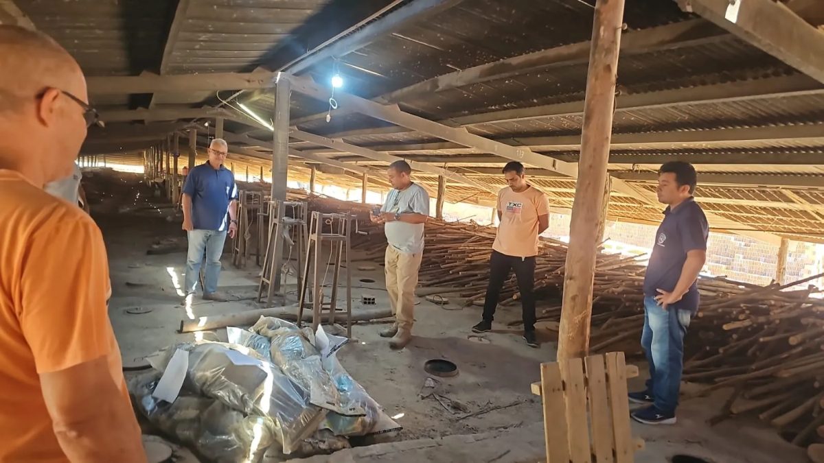 Polícia incinera cerca de 200 kg de drogas apreendidas em operações policiais no Maranhão
