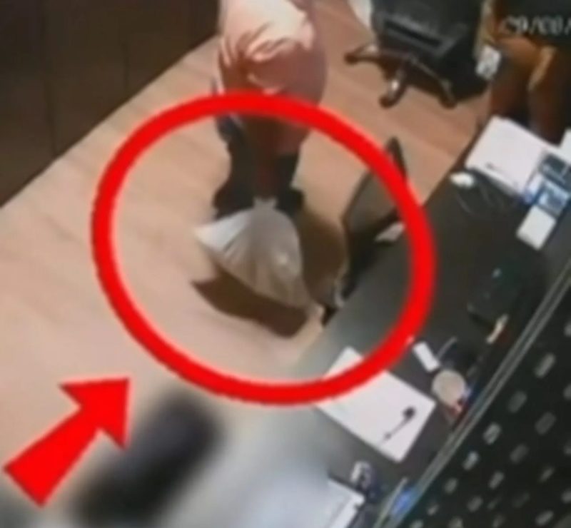 Polícia indicia dois funcionários por maus-tratos e morte de gata dentro de academia de Maceió