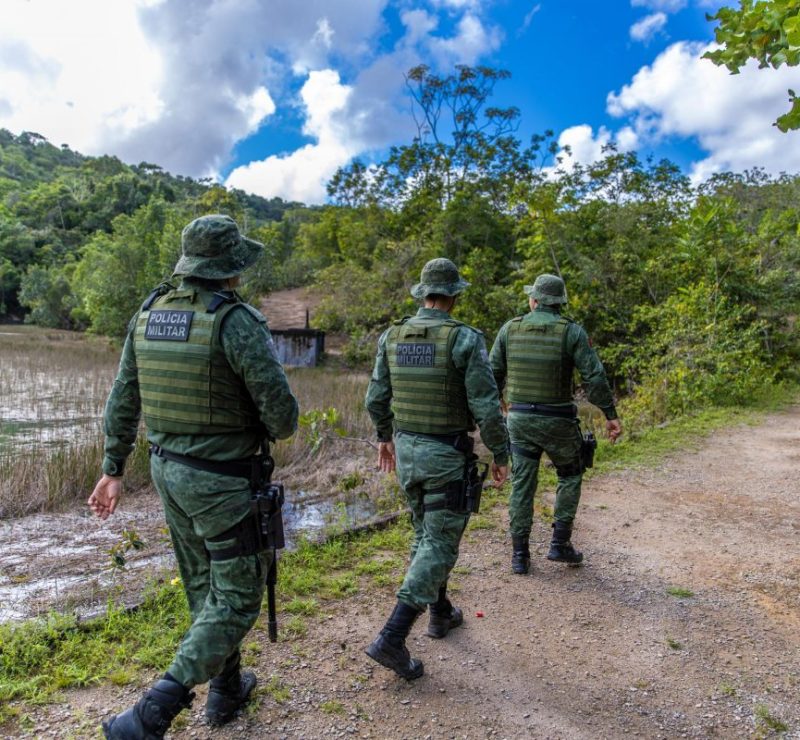 Polícia Militar resgata jaguatirica em área urbana no município de Penedo