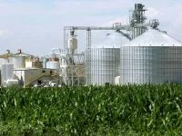 Produção de milho no Brasil deve ser recorde em 2026/27