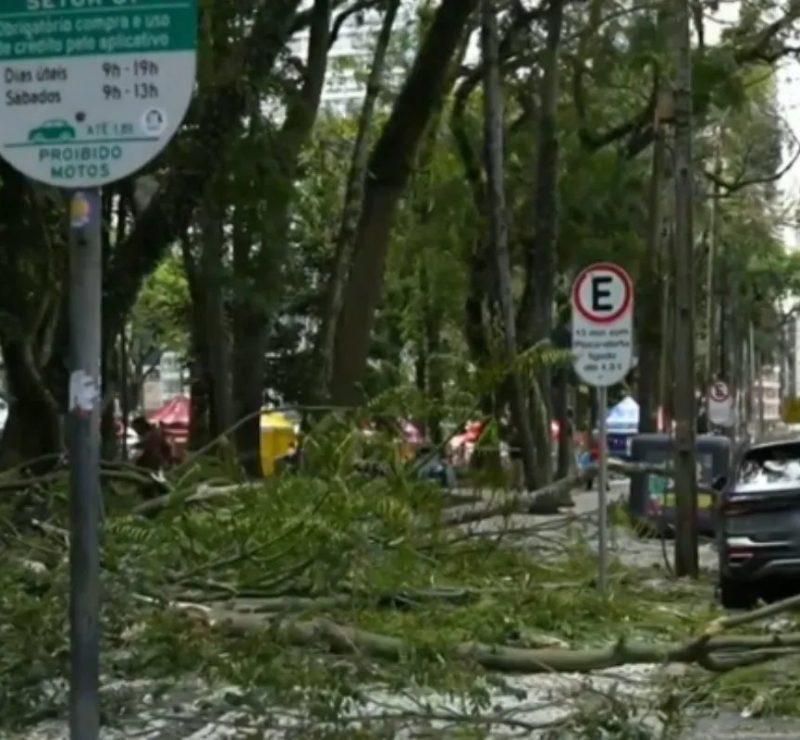 Quatro meses após jovem ficar paraplégica, queda de novo galho deixa mulher ferida e atinge carro na Praça Osório, em Curitiba