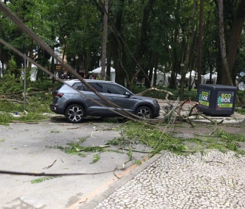 Queda de galho de árvore em Praça de Curitiba deixa mulher ferida; prefeitura suspende feira por precaução
