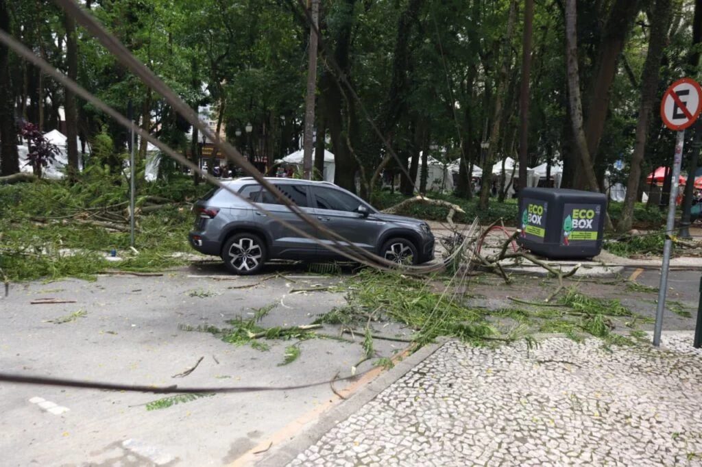 Queda de galho de árvore em Praça de Curitiba deixa mulher ferida; prefeitura suspende feira por precaução