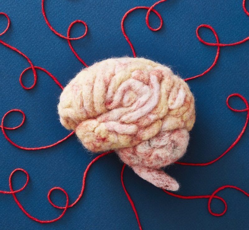 Simpósio discute neurodiversidade com foco em cuidado individual