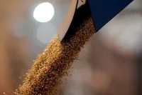 Soja e milho: margens pressionadas, mas Brasil mantém vantagem contra EUA