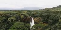 “Super El Niño” agrava seca e alimenta incêndios florestais no Norte do Brasil; Amazônia registra 2,4 vezes mais focos de calor