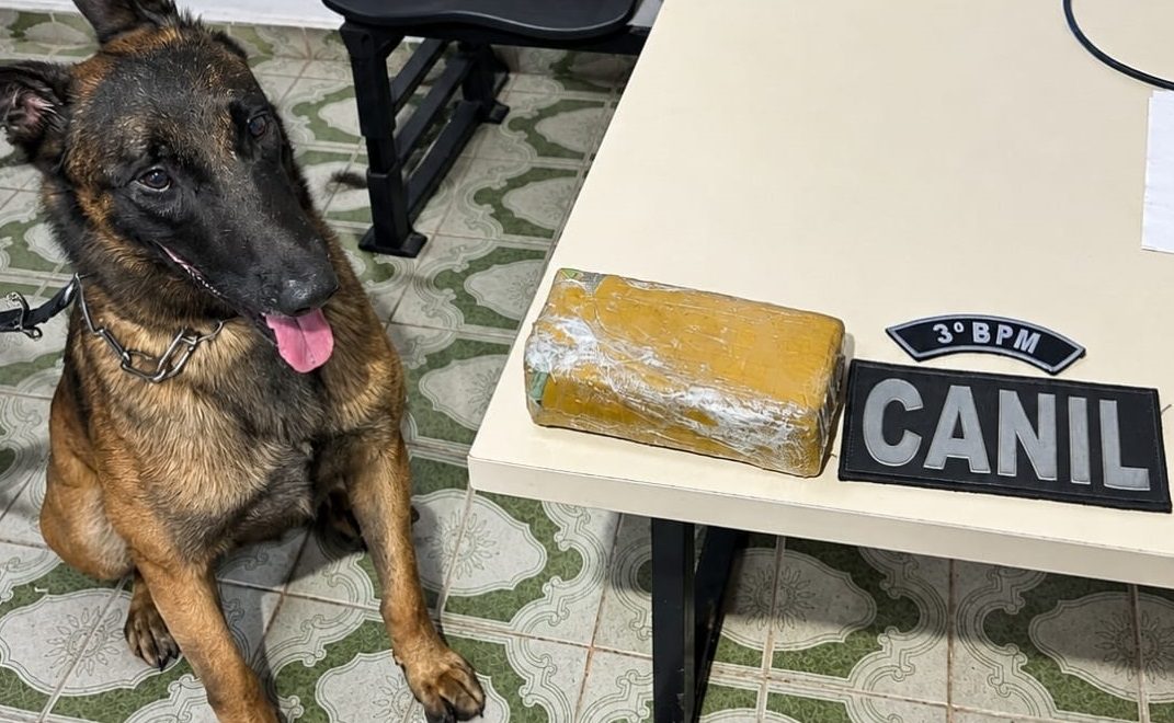 Tablete de droga é encontrado em casa abandonada após denúncia de tráfico em Arapiraca