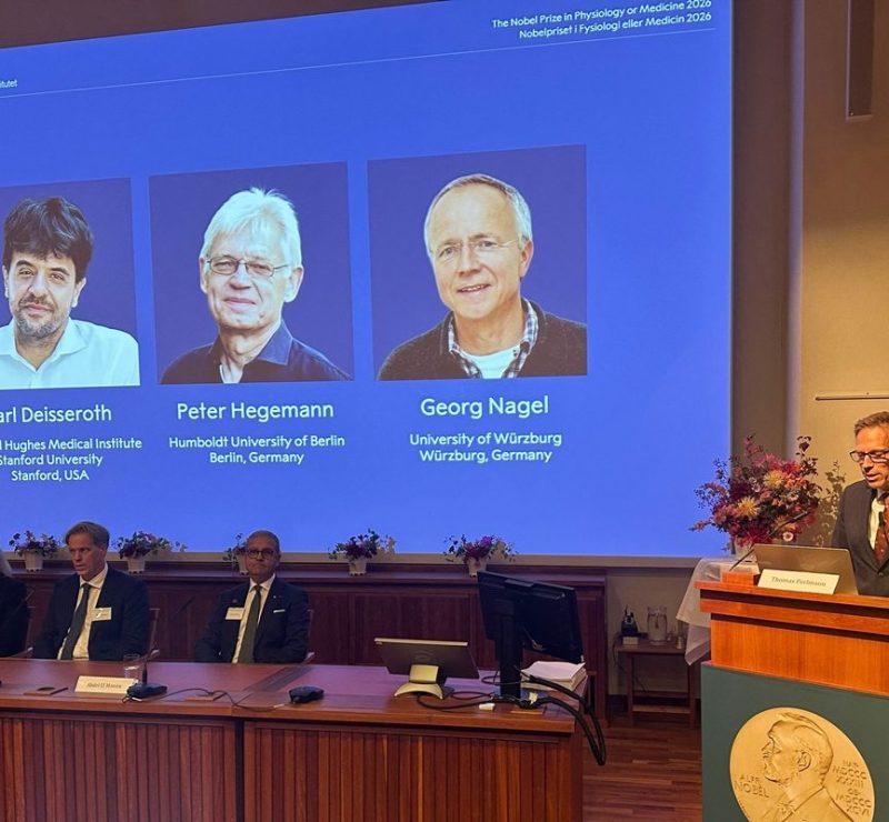 Técnica ganhadora do Prêmio Nobel usa luz para controlar neurônios