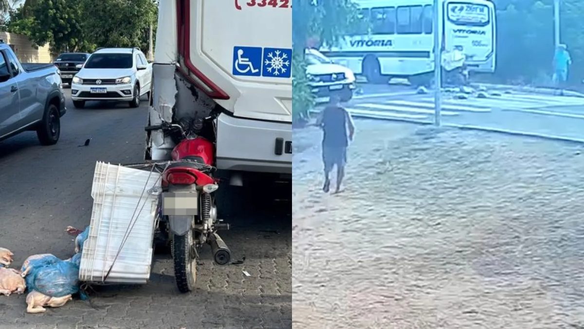 Vídeo: motociclista que transportava frangos bate em traseira de ônibus na Grande Fortaleza