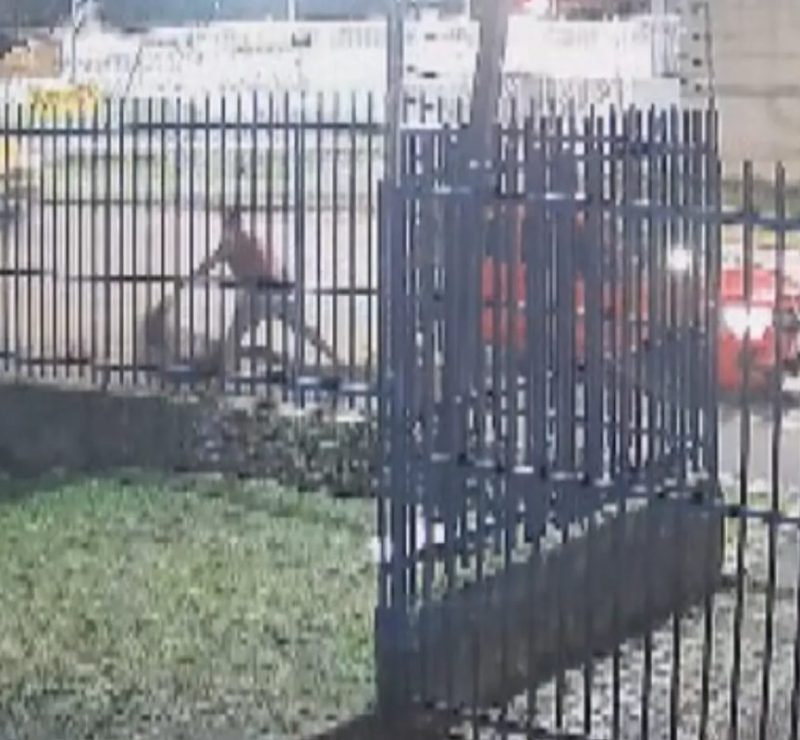 VÍDEO: passageira é puxada pelos cabelos e jogada na calçada por motorista de aplicativo em Curitiba
